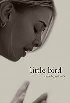 Little Bird