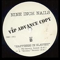 Primary photo for Nine Inch Nails: Happiness in Slavery