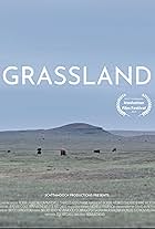 Grassland