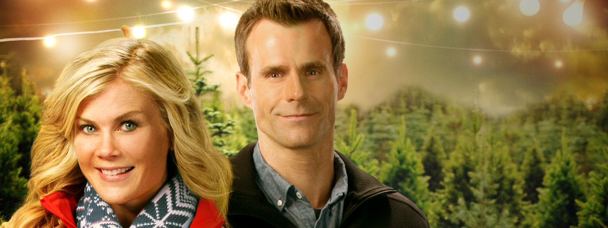 Cameron Mathison and Alison Sweeney in Murder, She Baked: A Plum Pudding Mystery (2015)