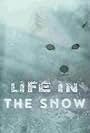 Life in the Snow (2016)