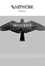 Peregrine (2023)