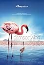 The Crimson Wing: Mystery of the Flamingos