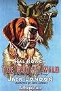 Call of the Wild (1923)