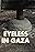 Eyeless in Gaza