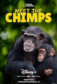 Primary photo for Meet the Chimps