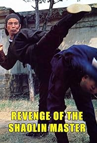 Primary photo for Revenge of the Shaolin Master