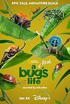 A Real Bug's Life