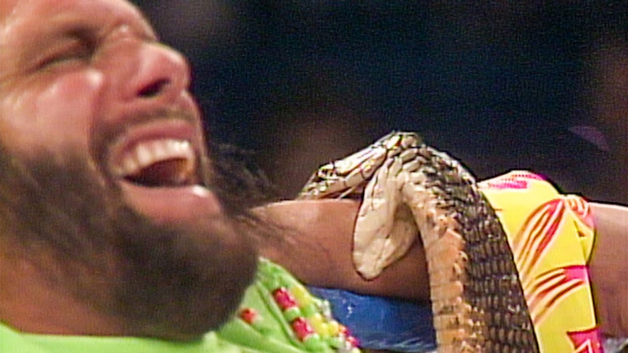 Randy Savage in WWF Superstars (1986)