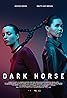 Dark Horse (TV Series 2024– ) Poster