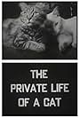 The Private Life of a Cat (1946)