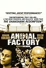 Animal Factory