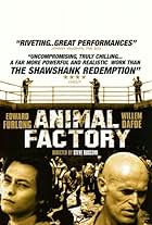 Animal Factory