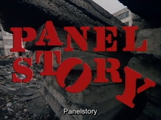 Panelstory or Birth of a Community (1980)