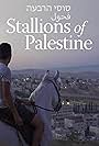 Stallions of Palestine (2019)