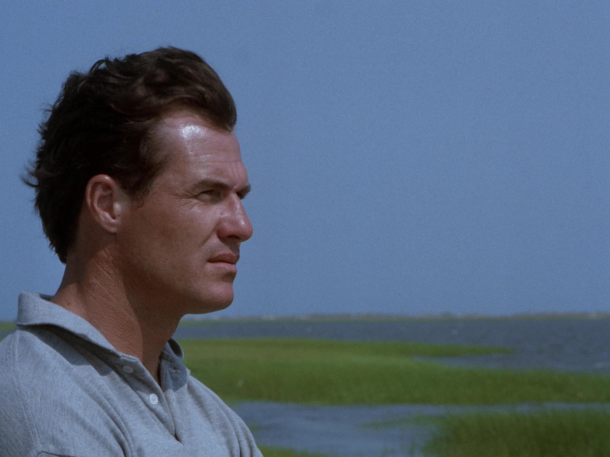 Brad Johnson in The Birds II: Land's End (1994)