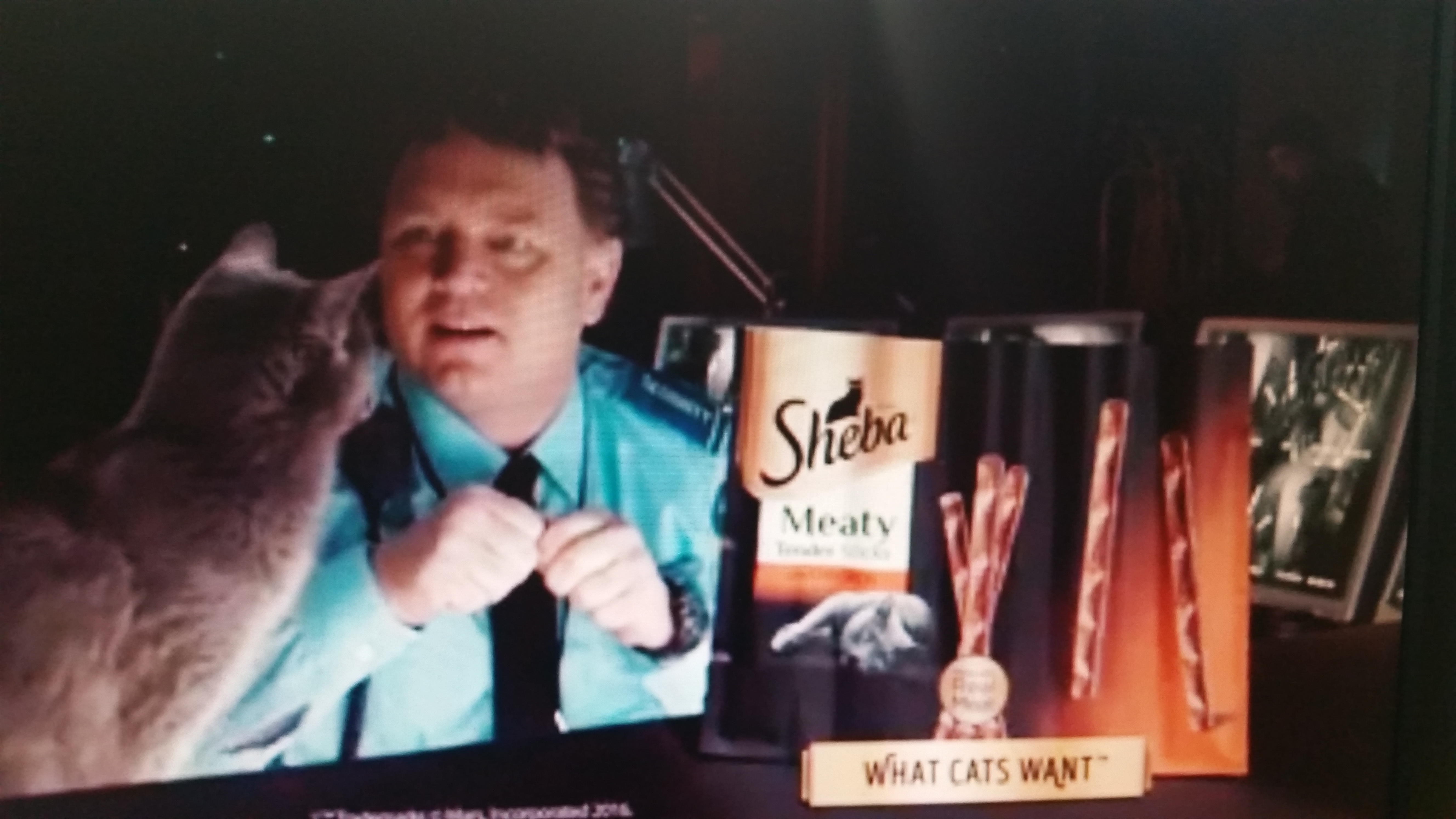 Glenn in Sheba Cat food Meaty Treats commercial