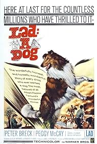 Lad: A Dog (1962)