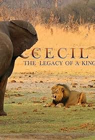 Cecil in Cecil: The Legacy of a King (2020)