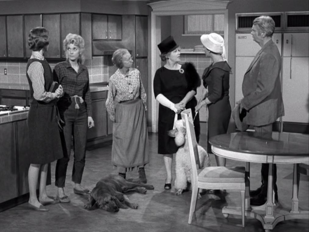 Buddy Ebsen, Donna Douglas, Nancy Kulp, Harriet E. MacGibbon, Narda Onyx, Irene Ryan, and Duke in The Beverly Hillbillies (1962)