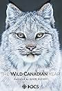 The Wild Canadian Year (2017)