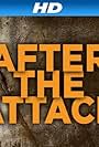 After the Attack (2008)