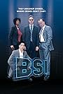 B.S.I (2008)