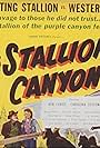 Ted Adams, Carolina Cotton, and Ken Curtis in Stallion Canyon (1949)