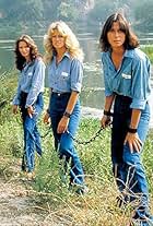 Farrah Fawcett, Kate Jackson, and Jaclyn Smith in Charlie's Angels (1976)