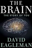 The Brain with Dr. David Eagleman