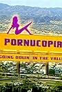 Pornucopia: Going Down in the Valley (2004)