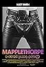 Mapplethorpe (2018) Poster