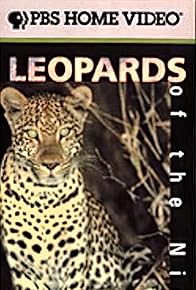 Primary photo for Leopards of the Night with David Attenborough