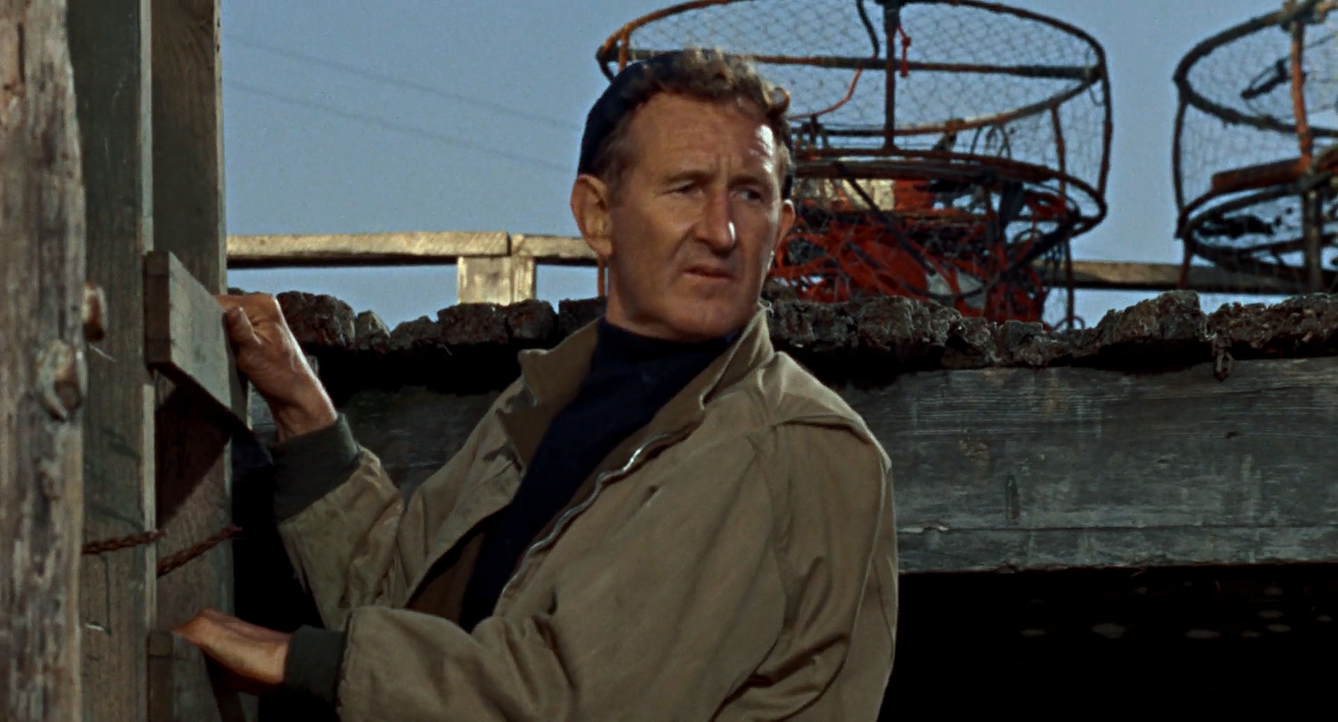 Doodles Weaver in The Birds (1963)