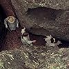 Anne-Louise Lambert, Karen Robson, Christine Schuler, and Jane Vallis in Picnic at Hanging Rock (1975)