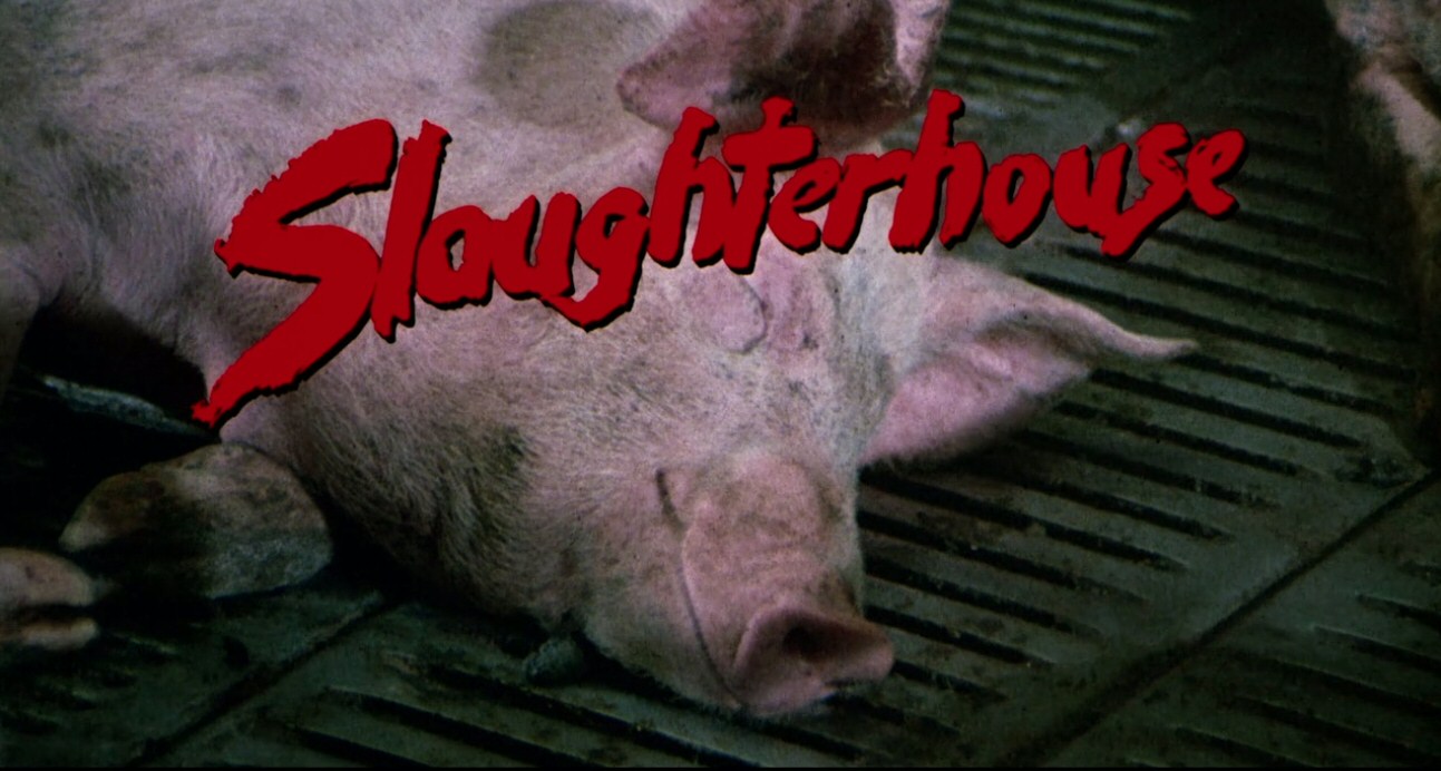 Slaughterhouse (1987)