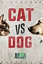 Cat Vs. Dog (2017)