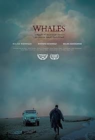 Whales (2016)