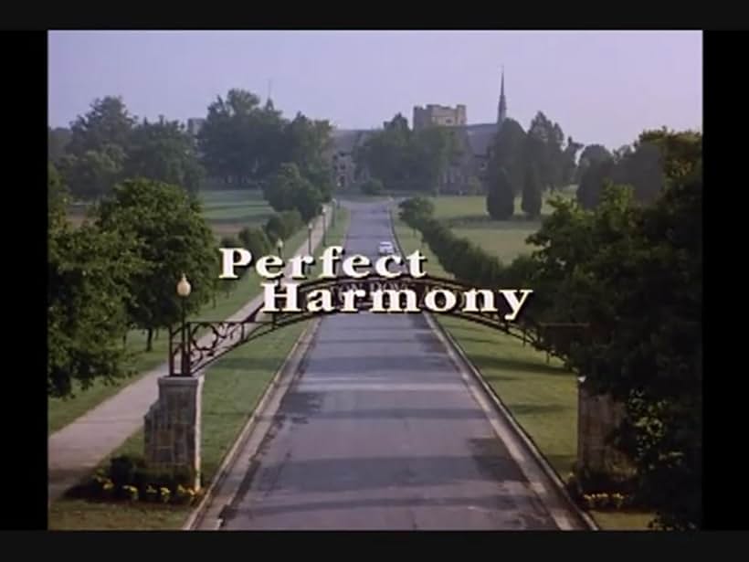 Perfect Harmony (1991)