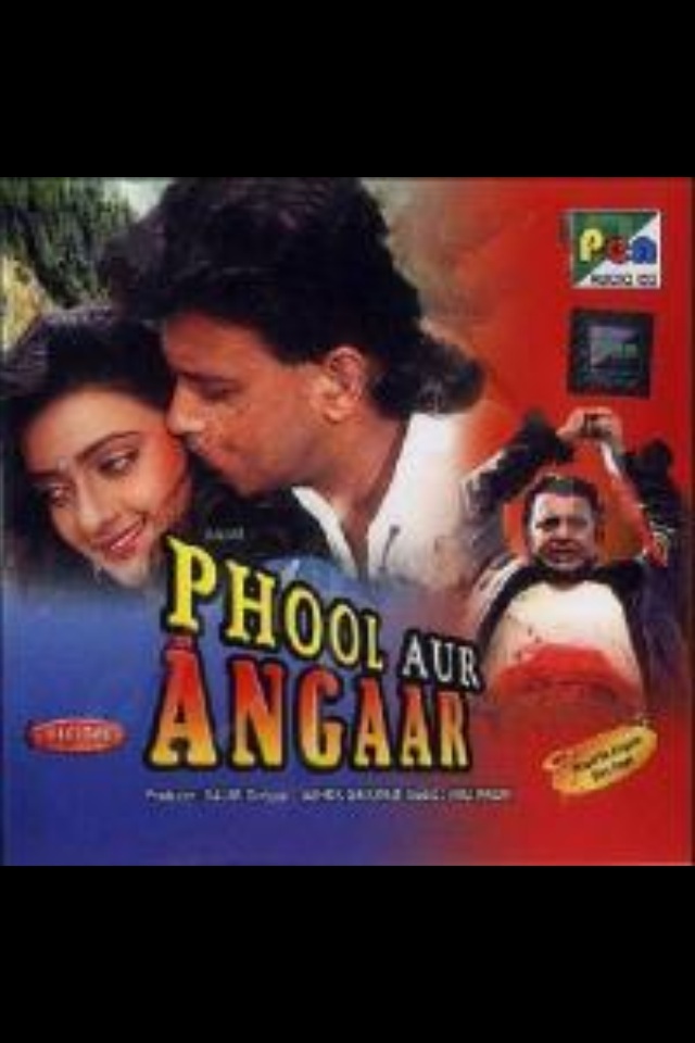 Phool Aur Angaar (1993)