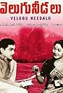 Velugu Needalu (1964)