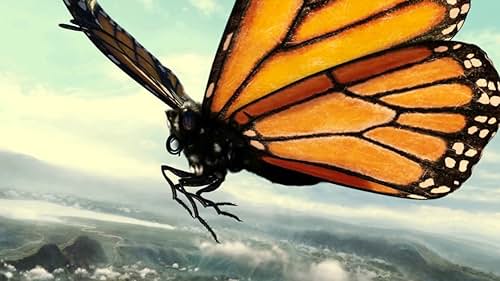 Flight Of The Butterflies: Riding The Wind