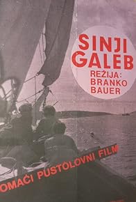 Primary photo for Sinji galeb