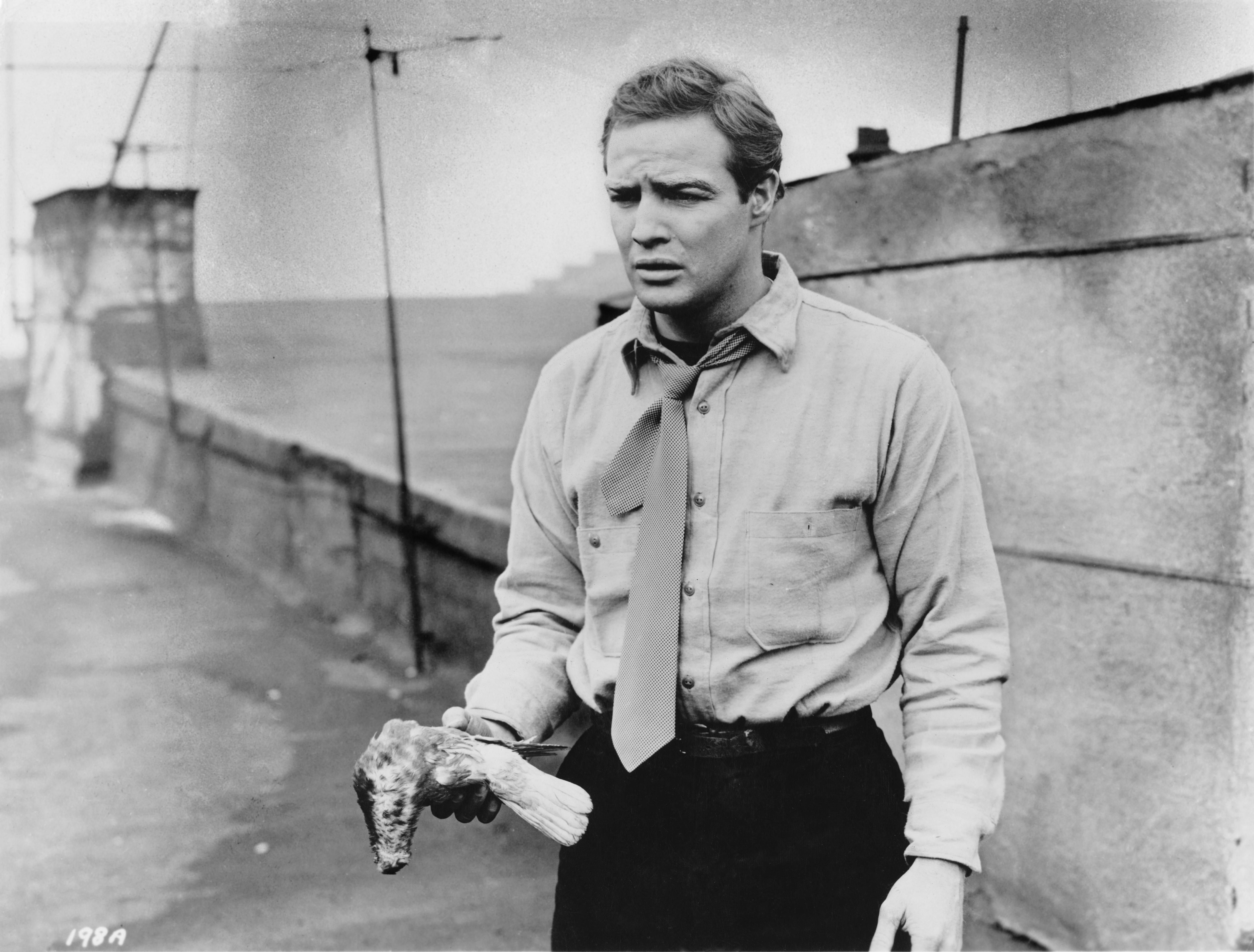 Marlon Brando in On the Waterfront (1954)