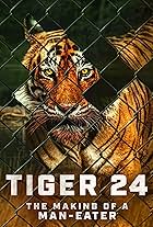 Tiger 24