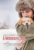 A Wonderful Life