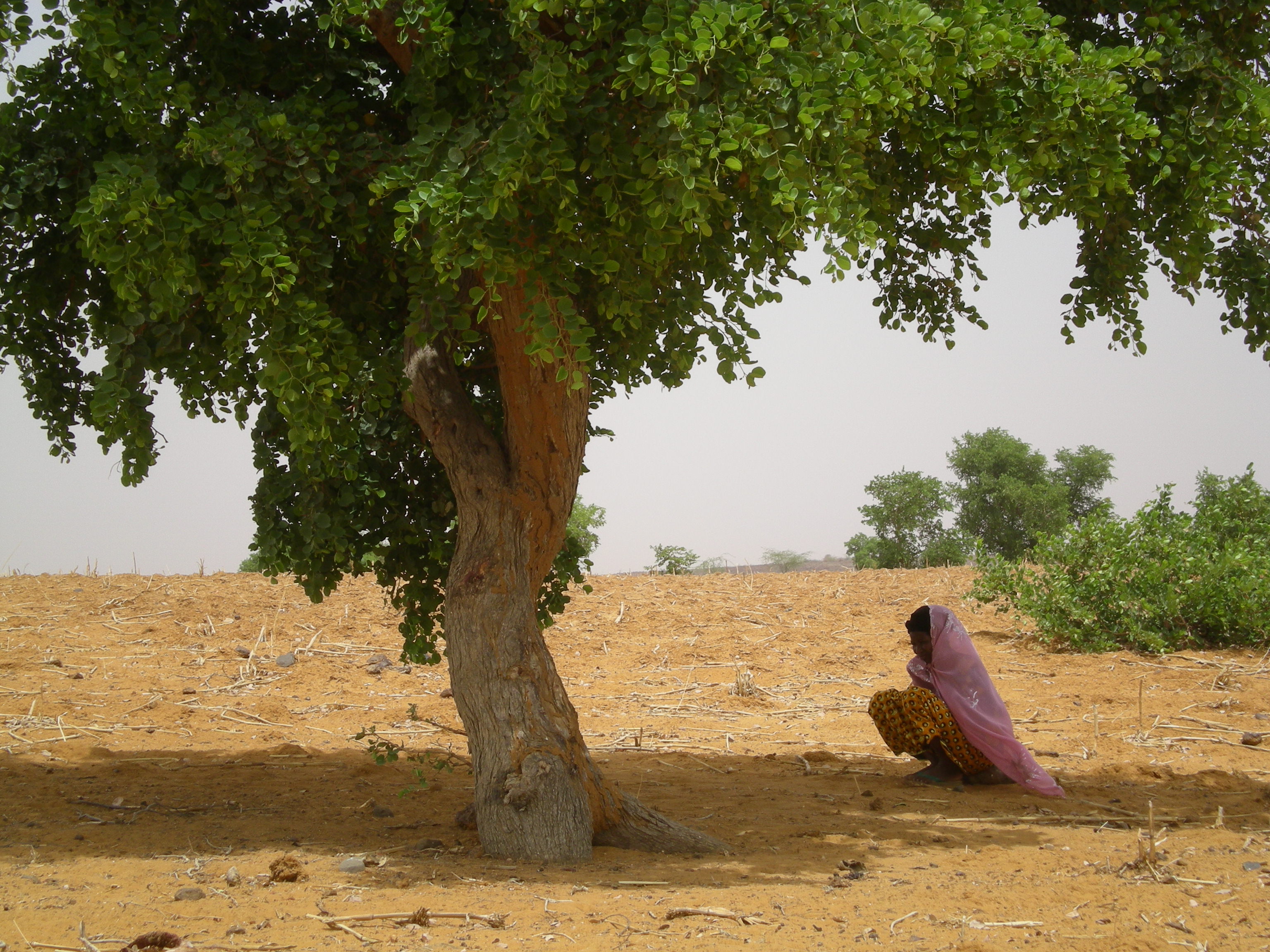 Hadijatou J'accuse (2017)