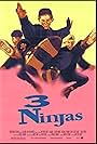 3 Ninjas (1992)