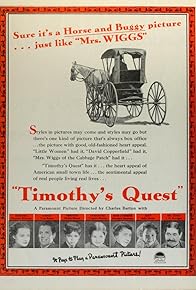 Primary photo for Timothy's Quest