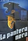 La pantera nera (1942)